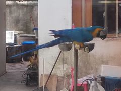 -观桥阁(锦溪店)