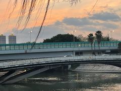 -东莞植物园