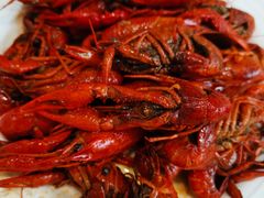 -铂丽斯国际大酒店-凯悦自助餐厅