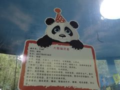 -栾川竹海野生动物园