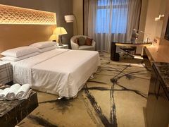 -西安赛瑞喜来登大酒店