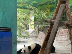 -临沂动植物园