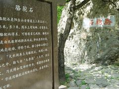 -阳台山自然风景区