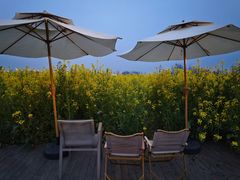 -中国天府农业博览园