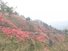 -木兰云雾山
