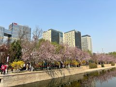 -元大都城垣遗址公园