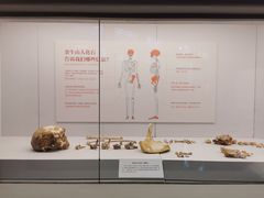 -北京大学赛克勒考古与艺术博物馆