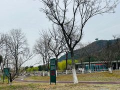 -南京市无想山景区