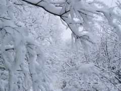 -北京西山国家森林公园