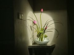 -穹六人间 people 6(岳阳路店)