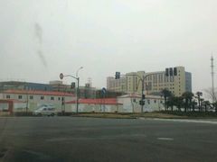 -上海市第六人民医院(临港院区)