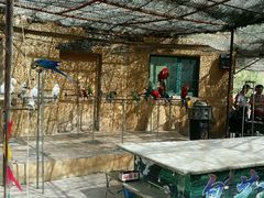 android_upload_pic-新疆天山野生动物园