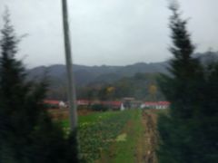 -青峰峡国家森林公园