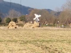 -长兴太湖图影湿地文化园