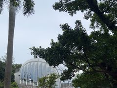 -石排湾郊野公园