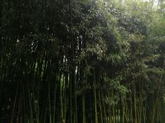 -唐城墙遗址公园
