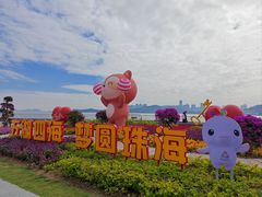 -野狸岛