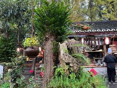 -青城甲(青城山店)