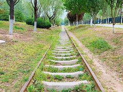 -永定河休闲森林公园