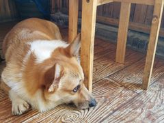 -阿木舂记·特色小吃(平江路店)