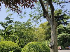 -兰溪青年公园