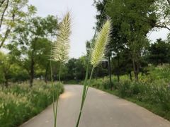 -东郊湿地公园
