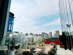 -一棵树·意大利西餐厅One Tree(新城店)