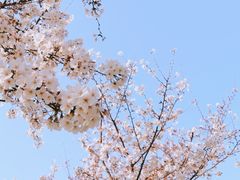 -静安雕塑公园