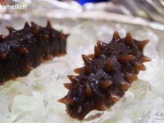 海参刺身-松子日式料理(东朝阳路店)