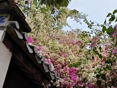 -深圳国际园林花卉博览园