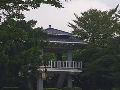 -大沙河公园