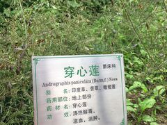 -广州神农草堂中医药博物馆