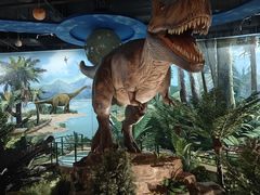 -陕西自然博物馆