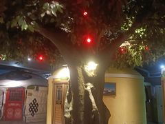 -老阿妈蒙古村·蒙古包·草原文化·歌舞表演(老君堂店)