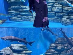 -石家庄极地海洋世界
