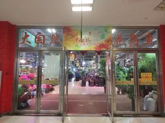 -大自然花鸟鱼虫市场