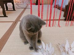 -第三空间·趣味桌游·轰趴.室内CS.剧本杀(大武汉1911店)