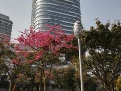 -珠江夜游省总码头