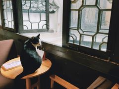 -猫的天空之城概念书店(杭州南宋御街店)