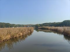 -同里国家湿地公园