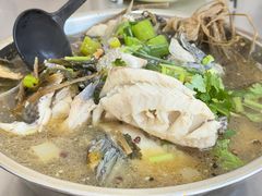 -风鑫铃罗非鱼(道沟店)