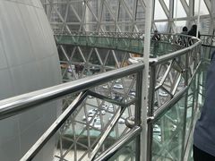 -陕西自然博物馆