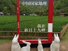 -十九峰景区