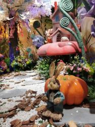 -星光贝贝(万达店)