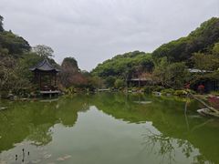 -云溪植物园