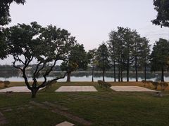 -东莞松山湖凯悦酒店