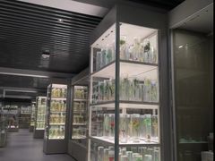 -北京中医药大学-中医药博物馆