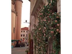 -华谊兄弟（长沙）电影小镇