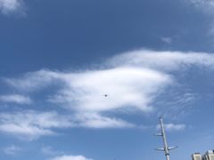 -九里河湿地公园