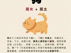 -立德异宠动物医院.兔鸟爬.内窥镜(天河店)